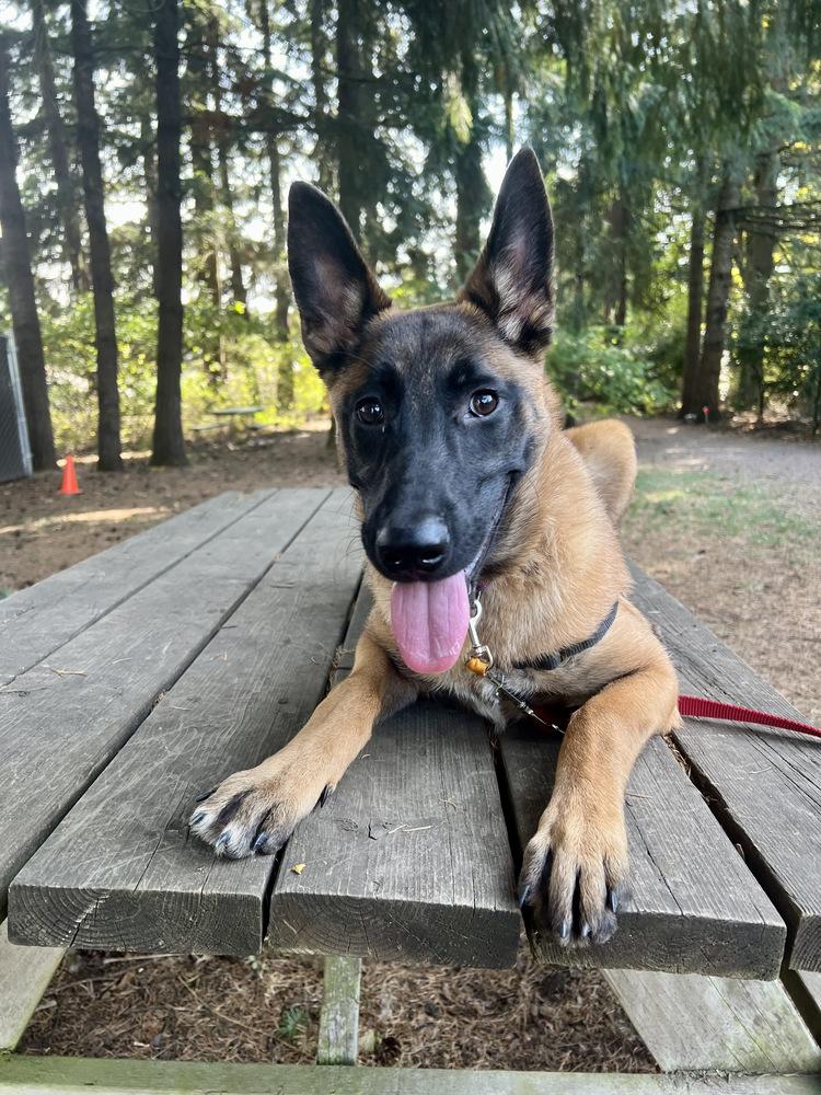 Fiona  Located In thumbnail 2