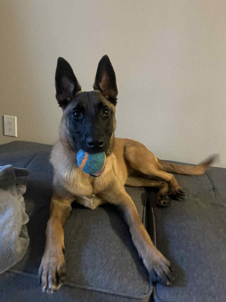 Fiona  Located In thumbnail 3