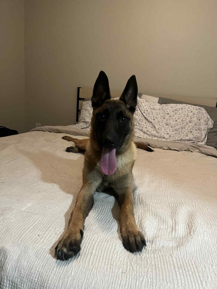 Fiona  Located In thumbnail 4