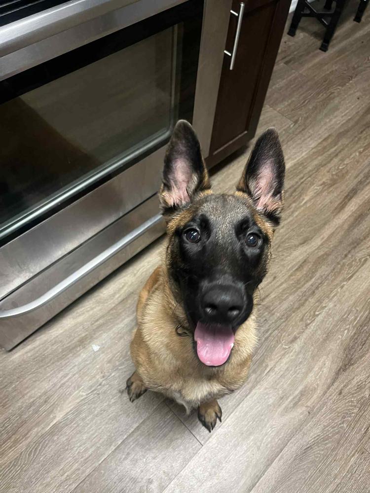 Fiona  Located In thumbnail 5