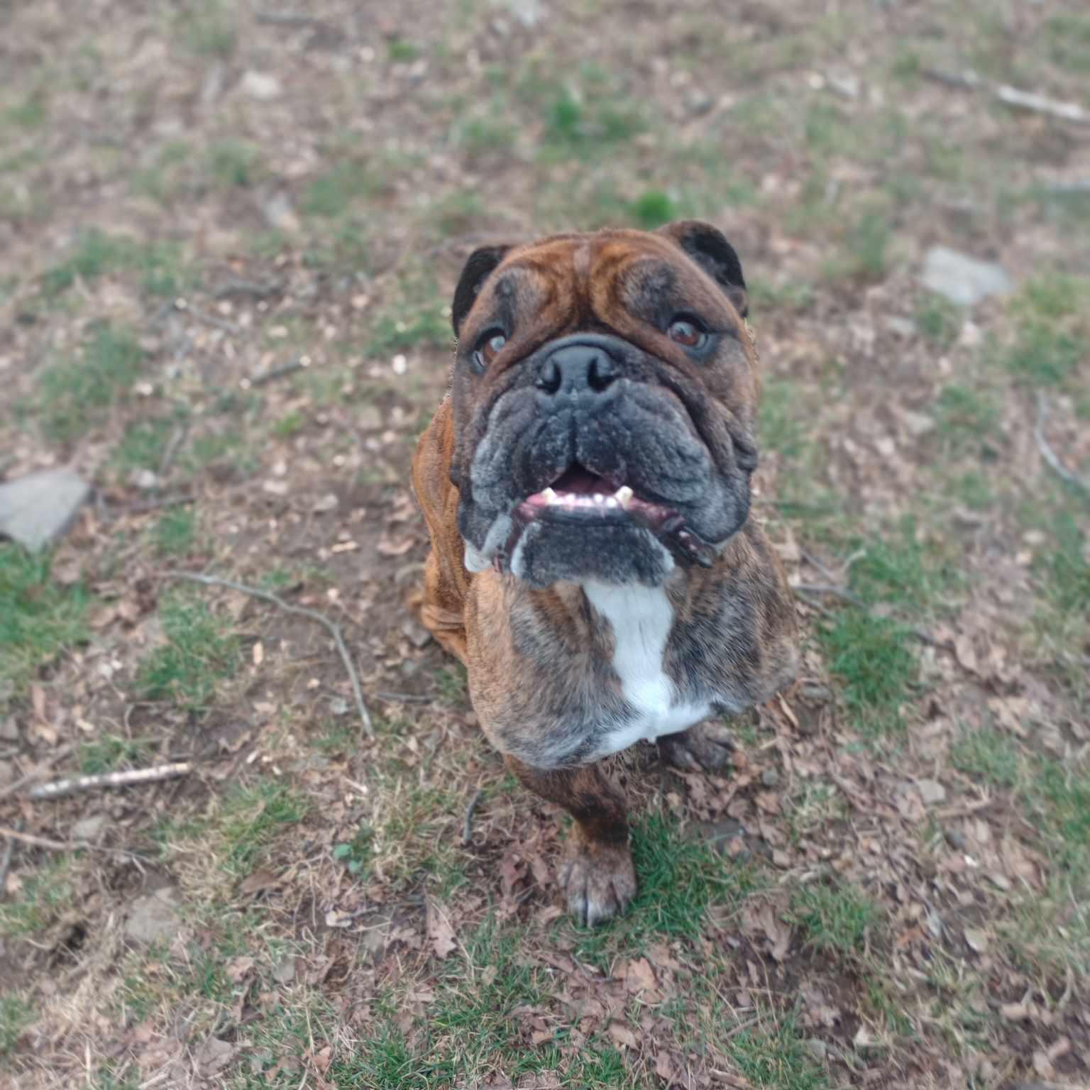 ernie