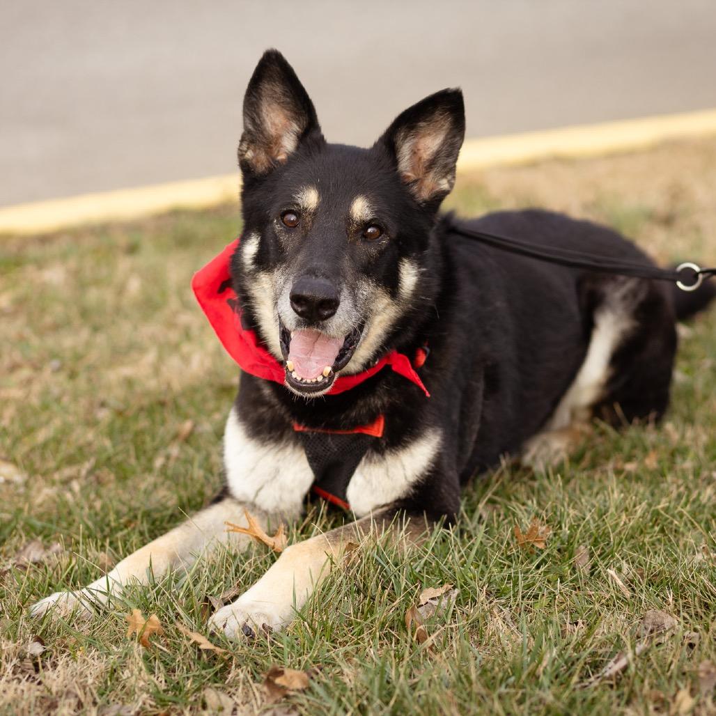 Roxy — thumbnail 2