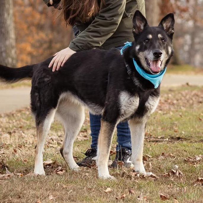 Roxy — thumbnail 5