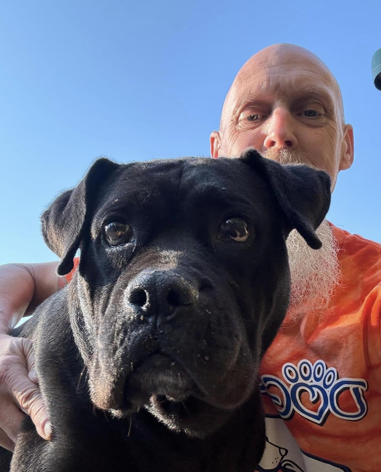 Chili Pepper, a Adoptable American Bulldog in Thomasville, NC image 3/3