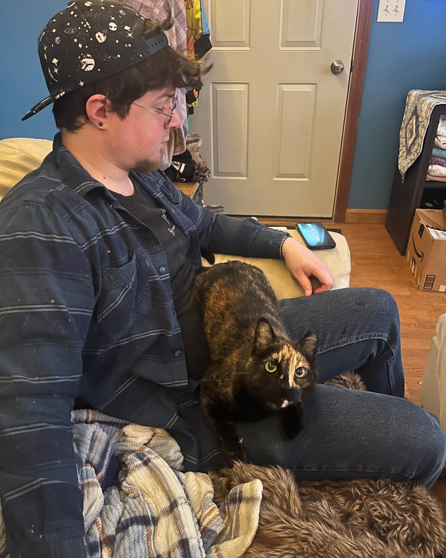 Enlarge Ula, a Adoptable Domestic Short Hair in Vernon, VT image 3/5