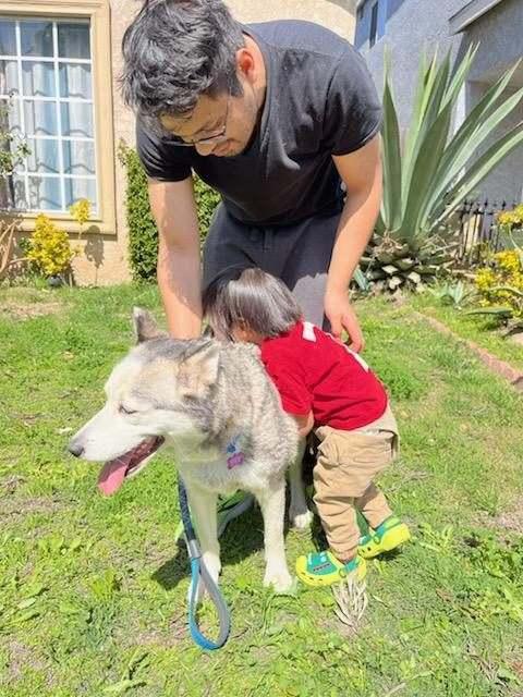 Enlarge Elsa, a Adoptable mixed breed in La Habra, CA image 2/5