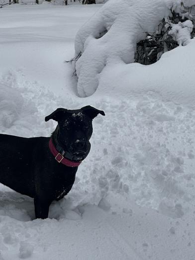 Maggie — thumbnail 4