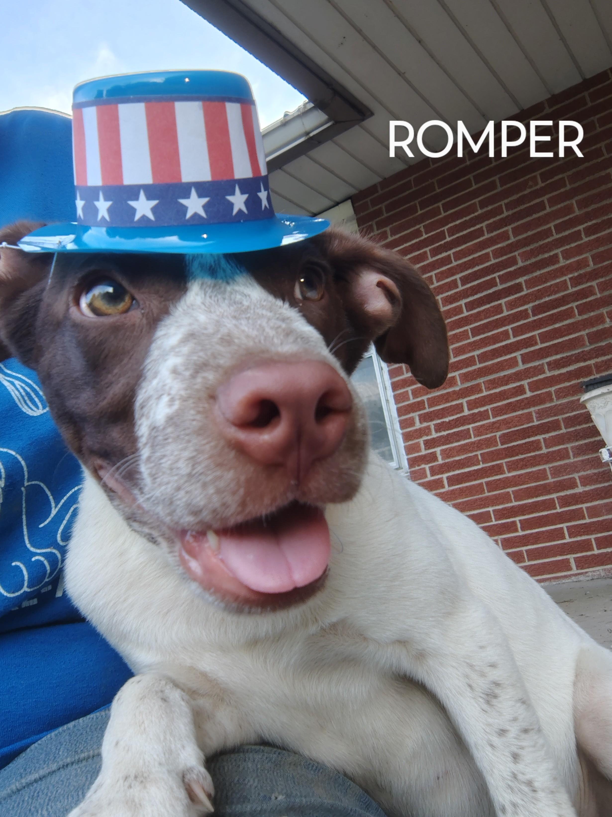 Romper