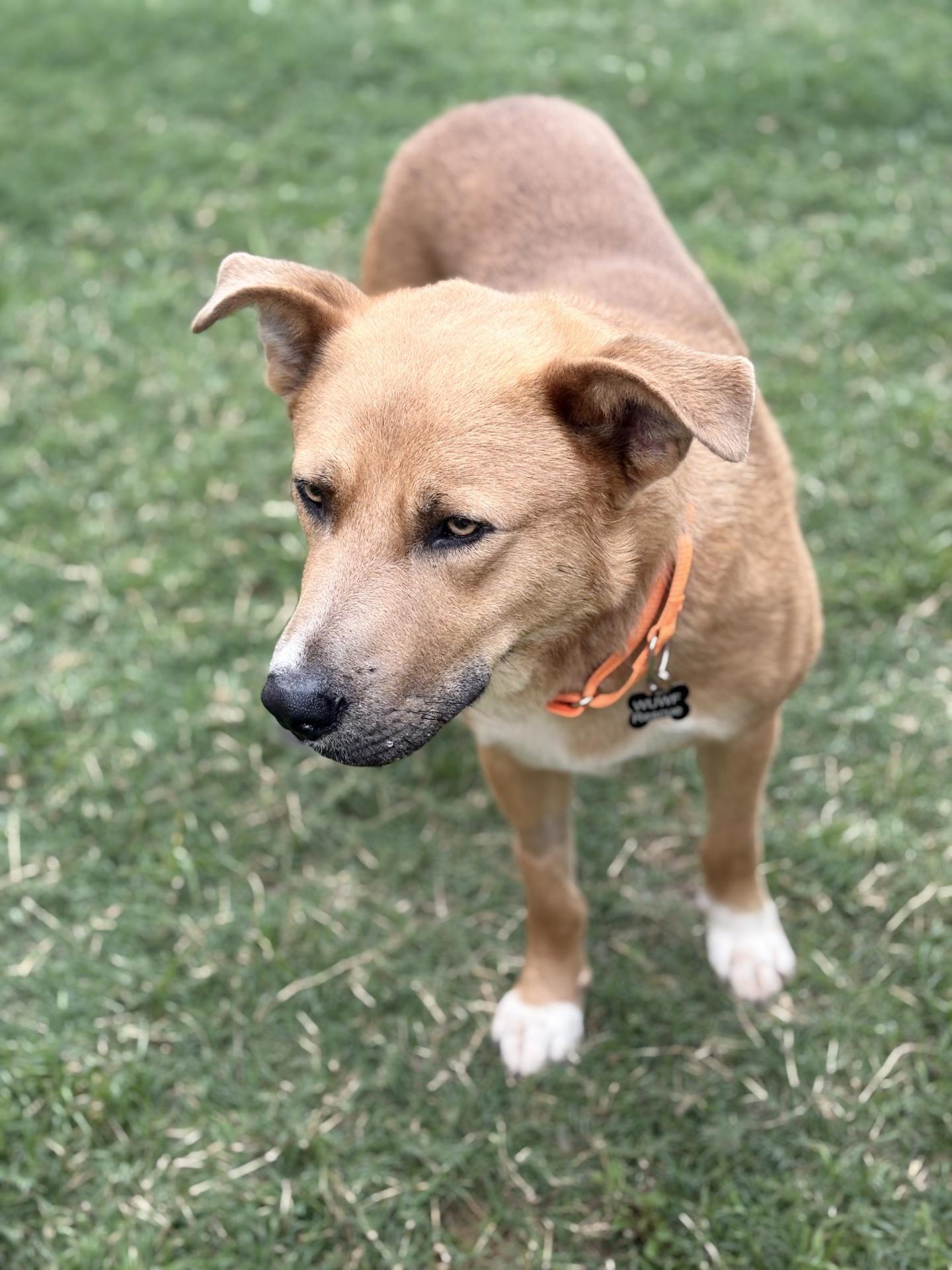 Russell — thumbnail 3