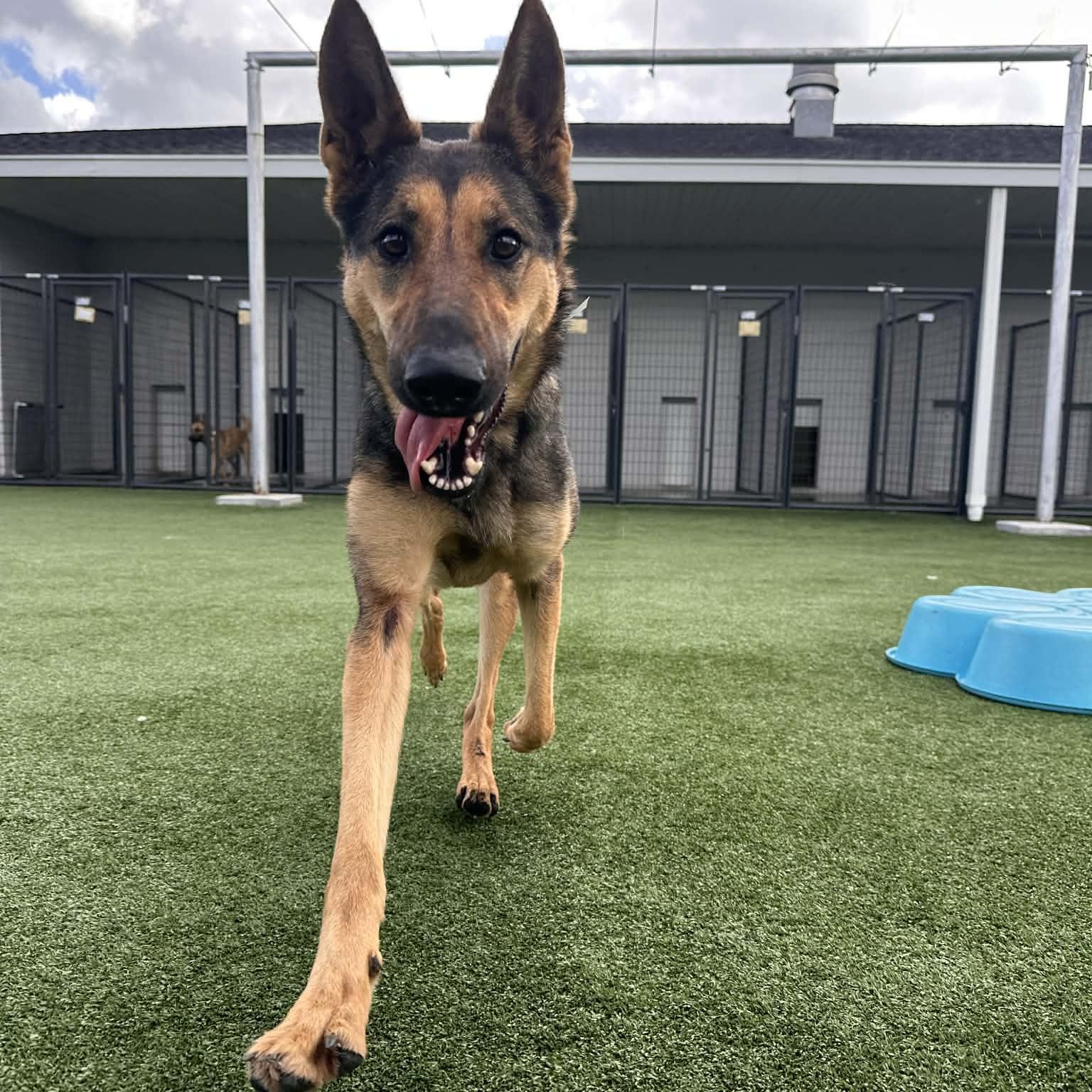 GIANNA GS — thumbnail 2