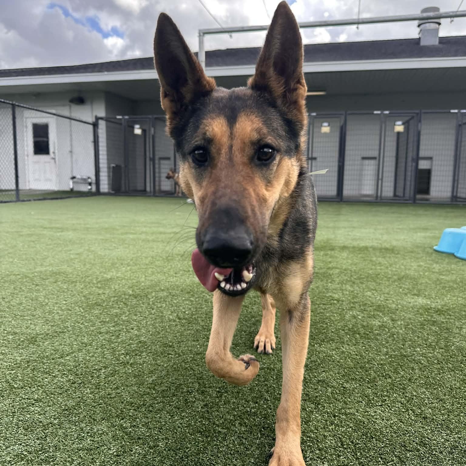 GIANNA GS — thumbnail 3