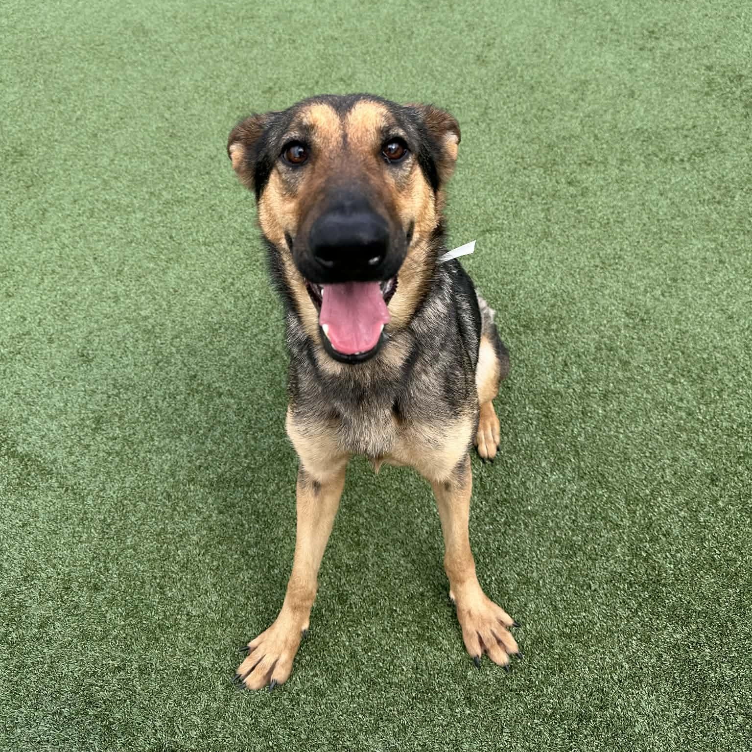 GIANNA GS — thumbnail 6