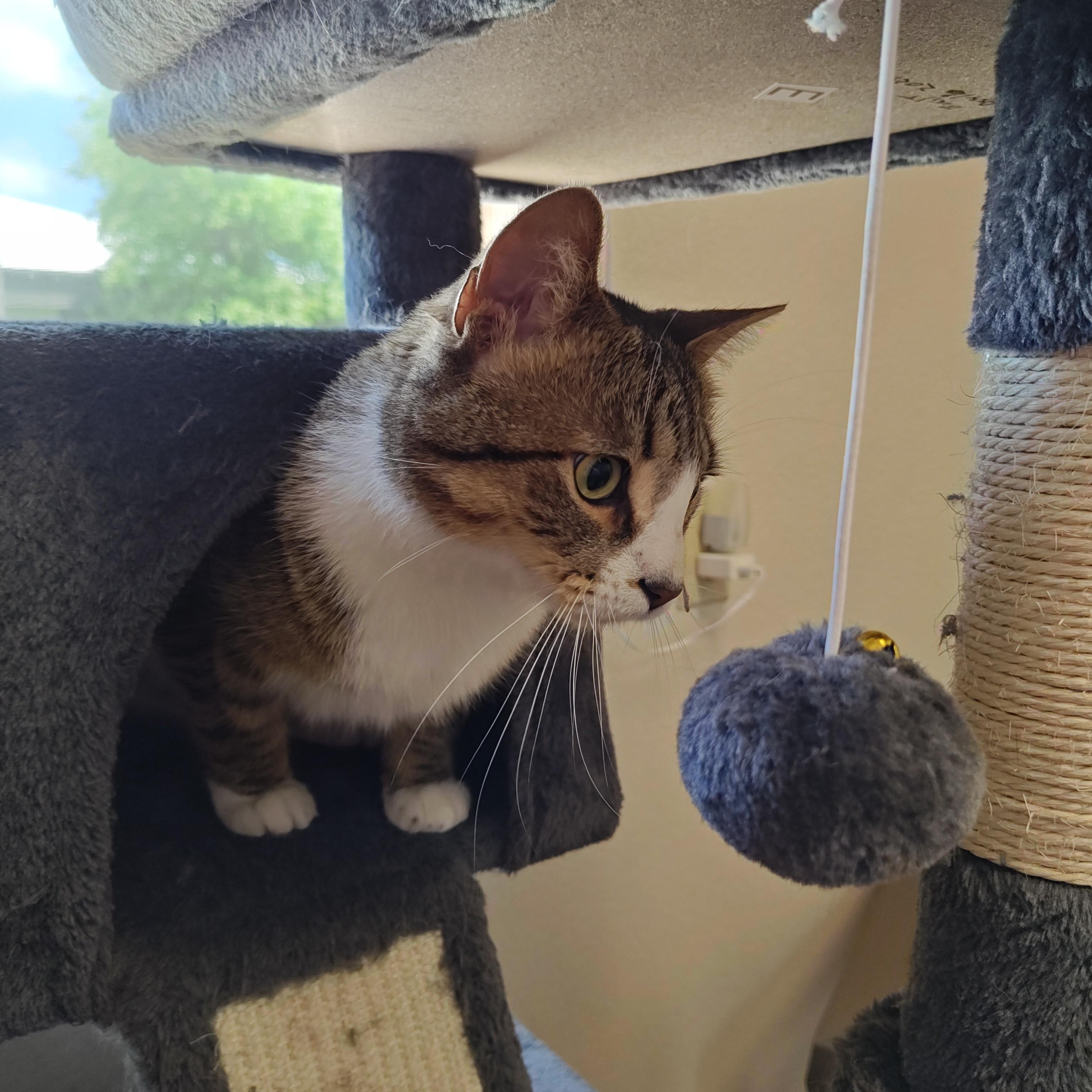 Micah photo 3