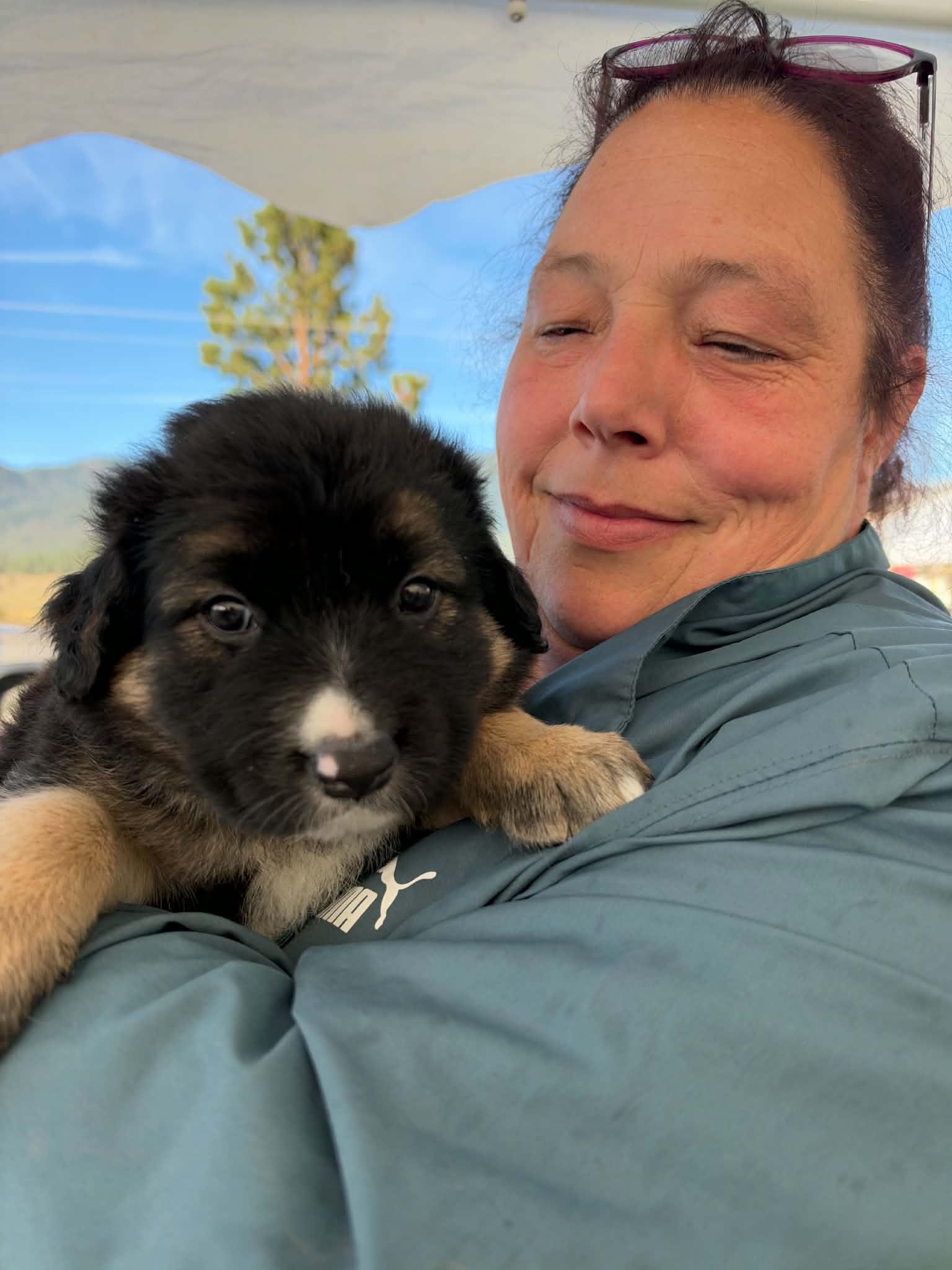 Enlarge Fluff, a Adoptable mixed breed in Arlee, MT image 2/2