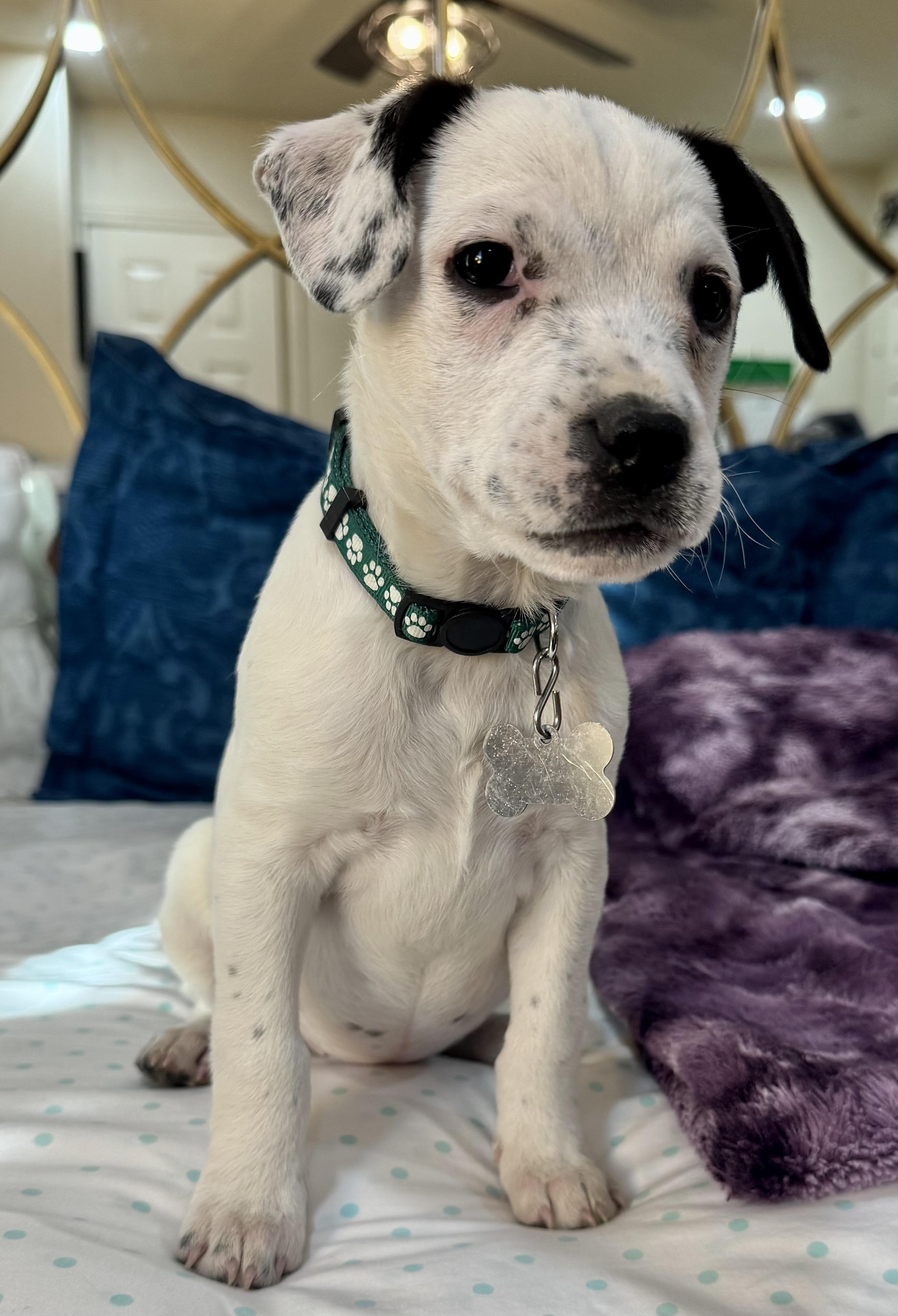 Nebraska — thumbnail 5