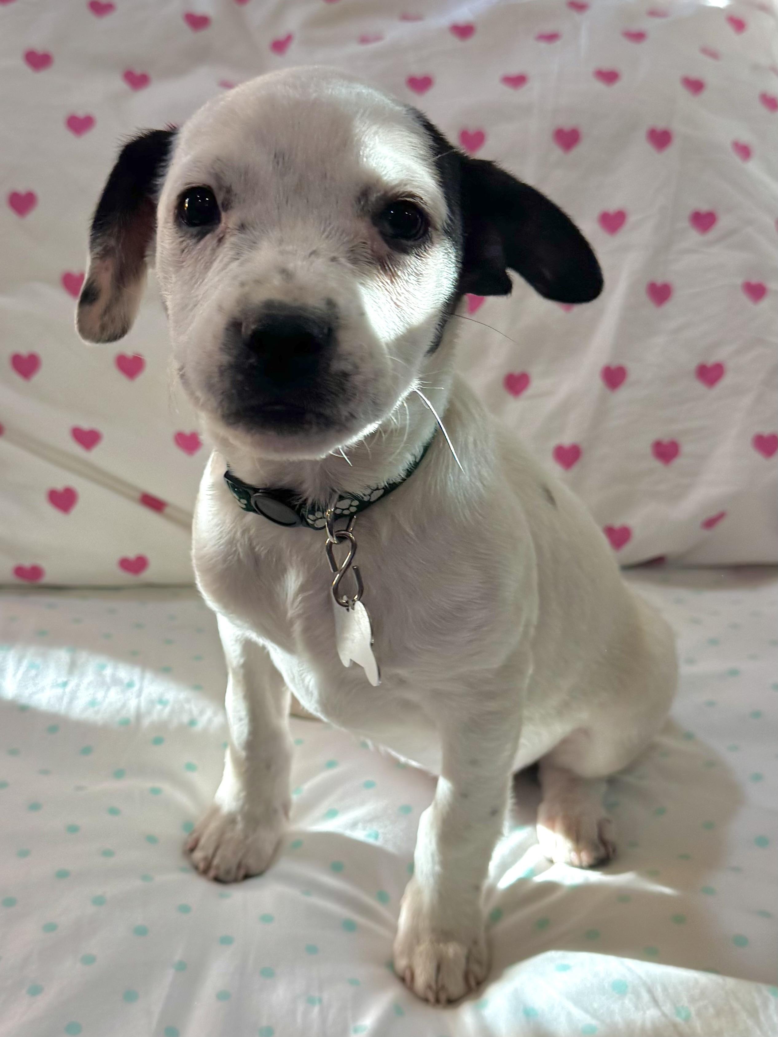 Nebraska — thumbnail 6