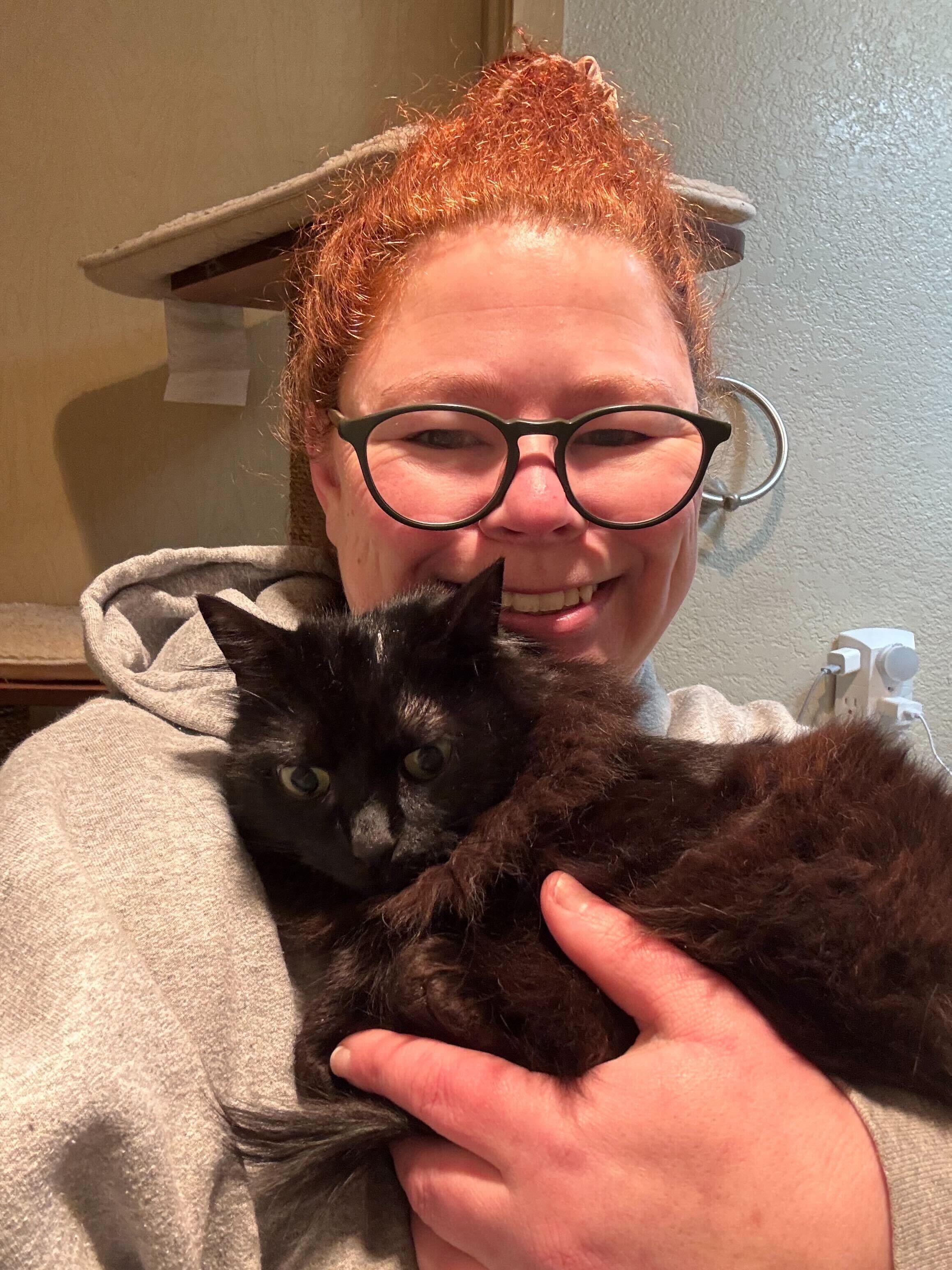 Linda and Loonette, a ADOPTABLE Domestic Long Hair in Seattle, WA image 3/6