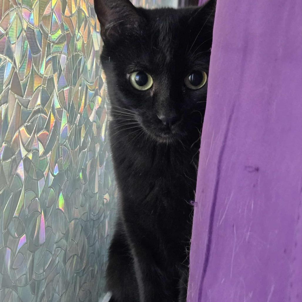 Zoey (formerly Zilpah) McEntire — thumbnail 2