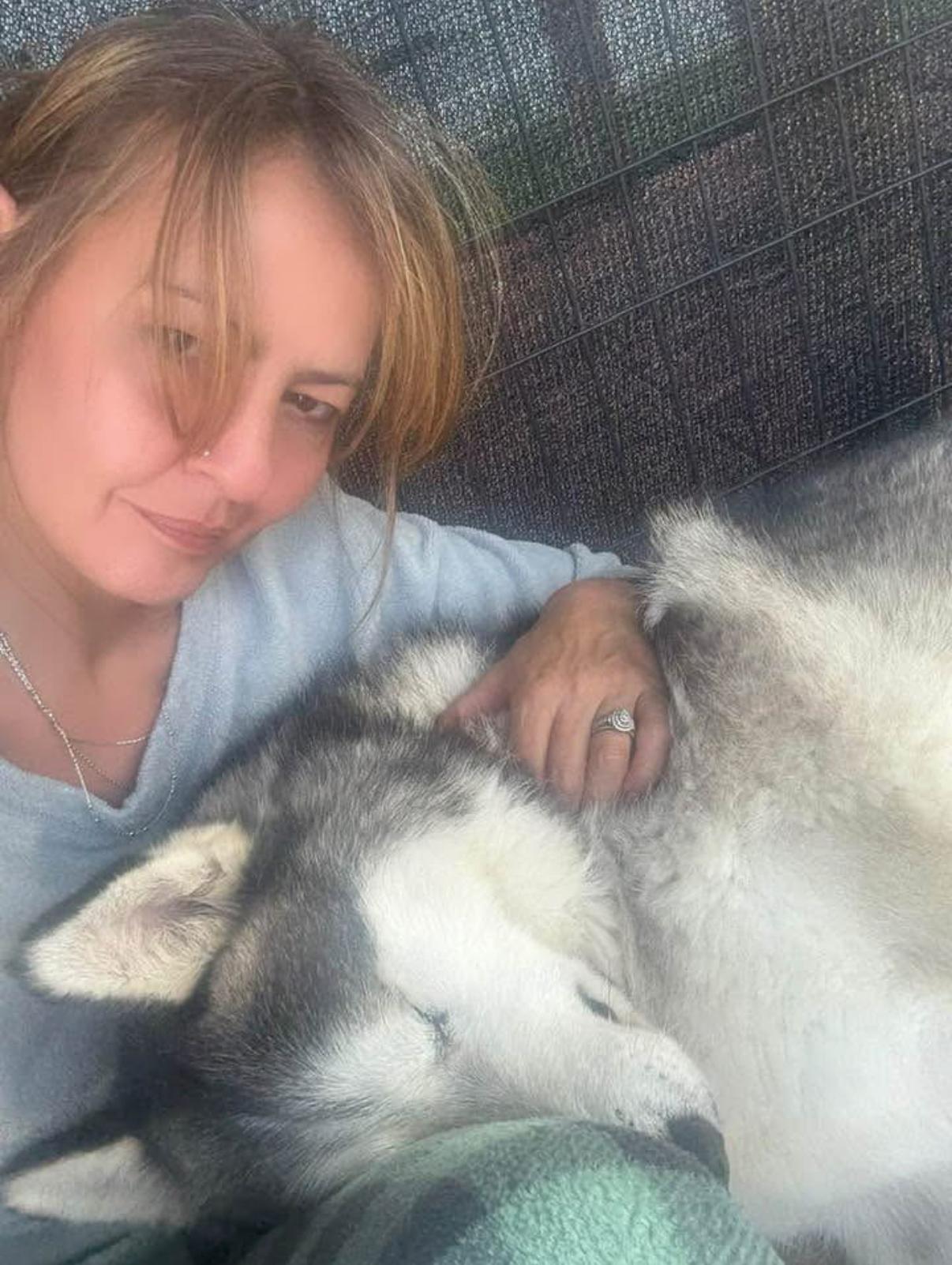 Enlarge Sitka, a Adoptable Siberian Husky in Grove City, OH image 4/6