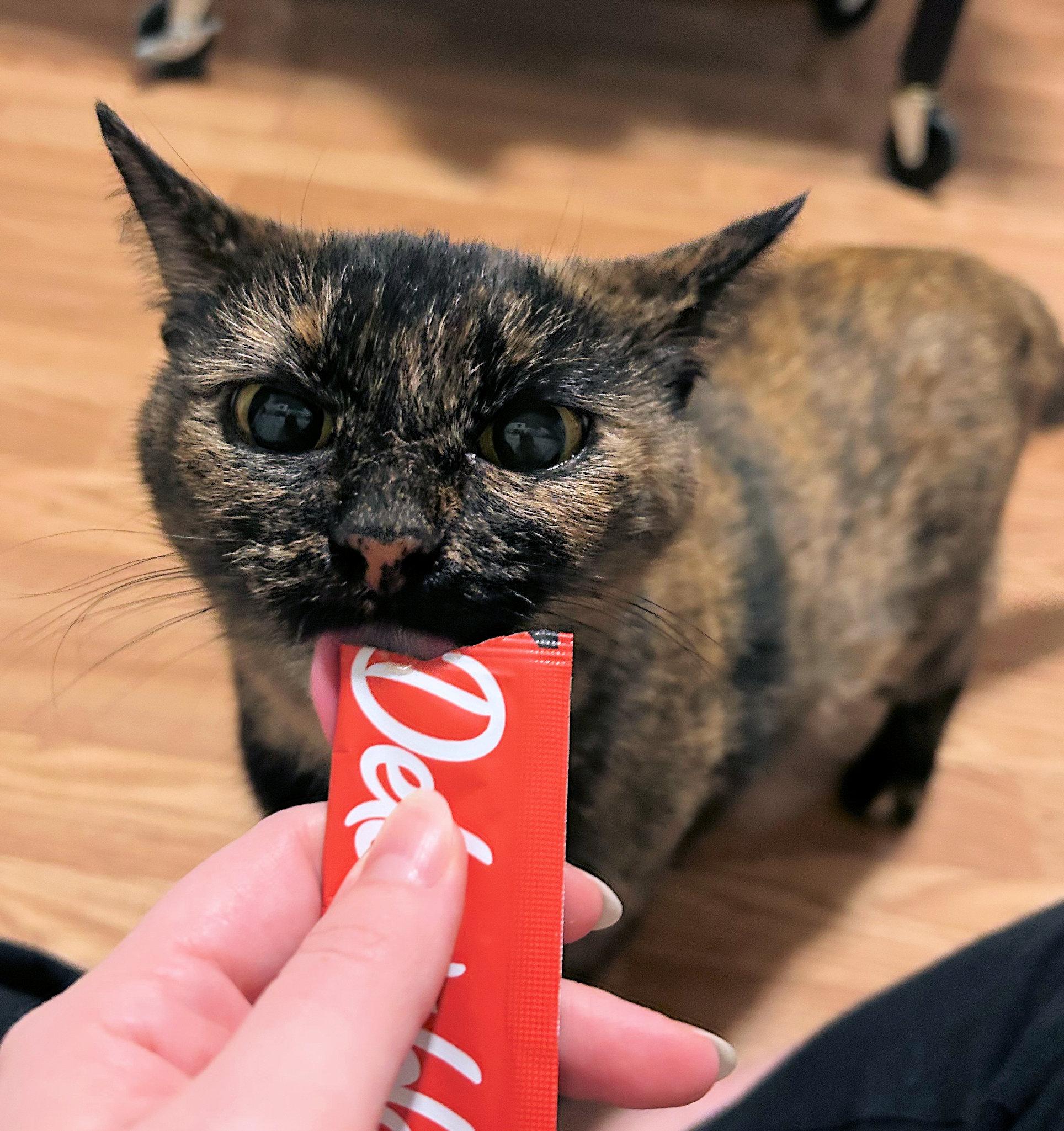 Courtesy Listing  Winnie thumbnail 3