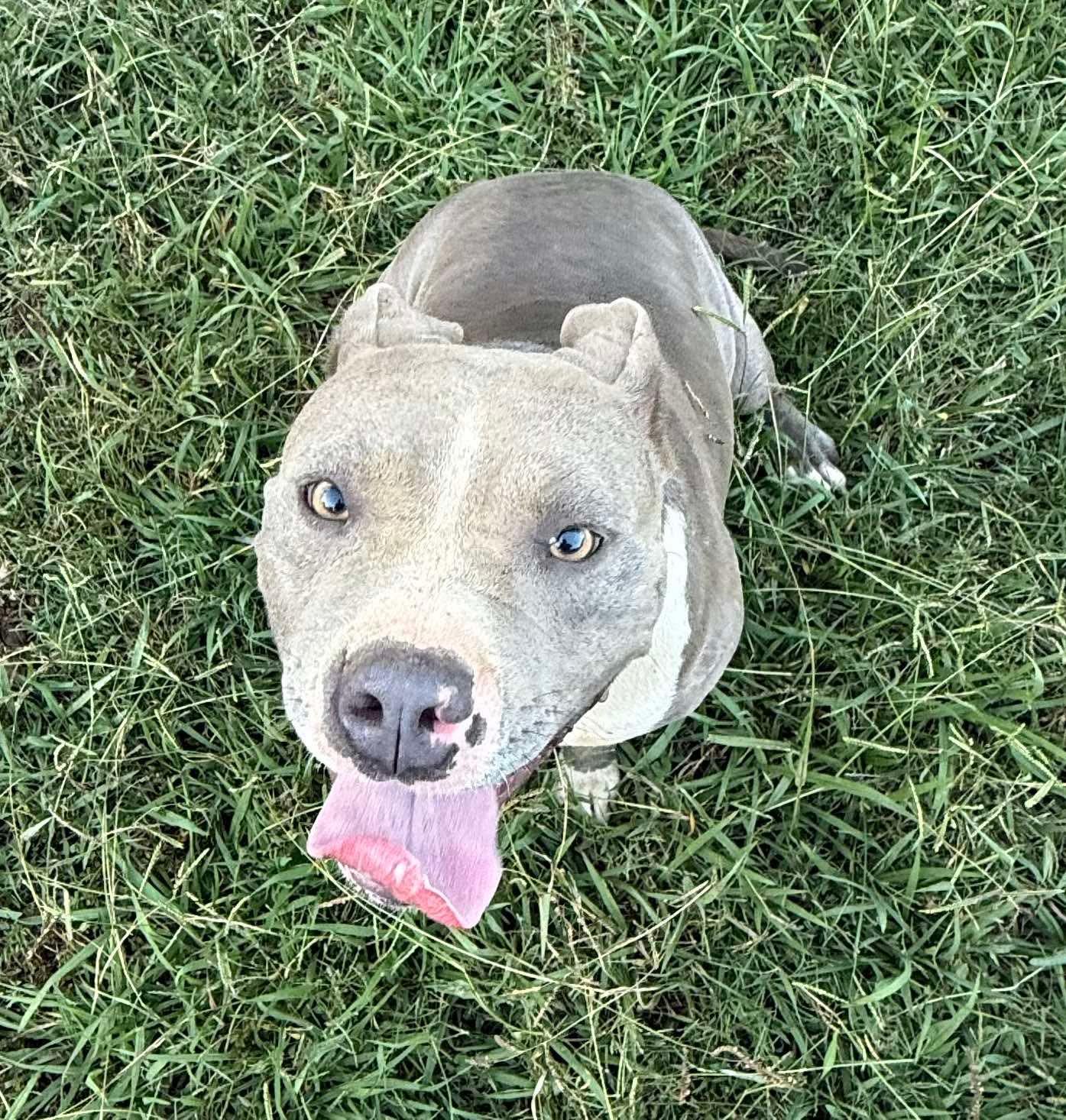 Catalina thumbnail 3