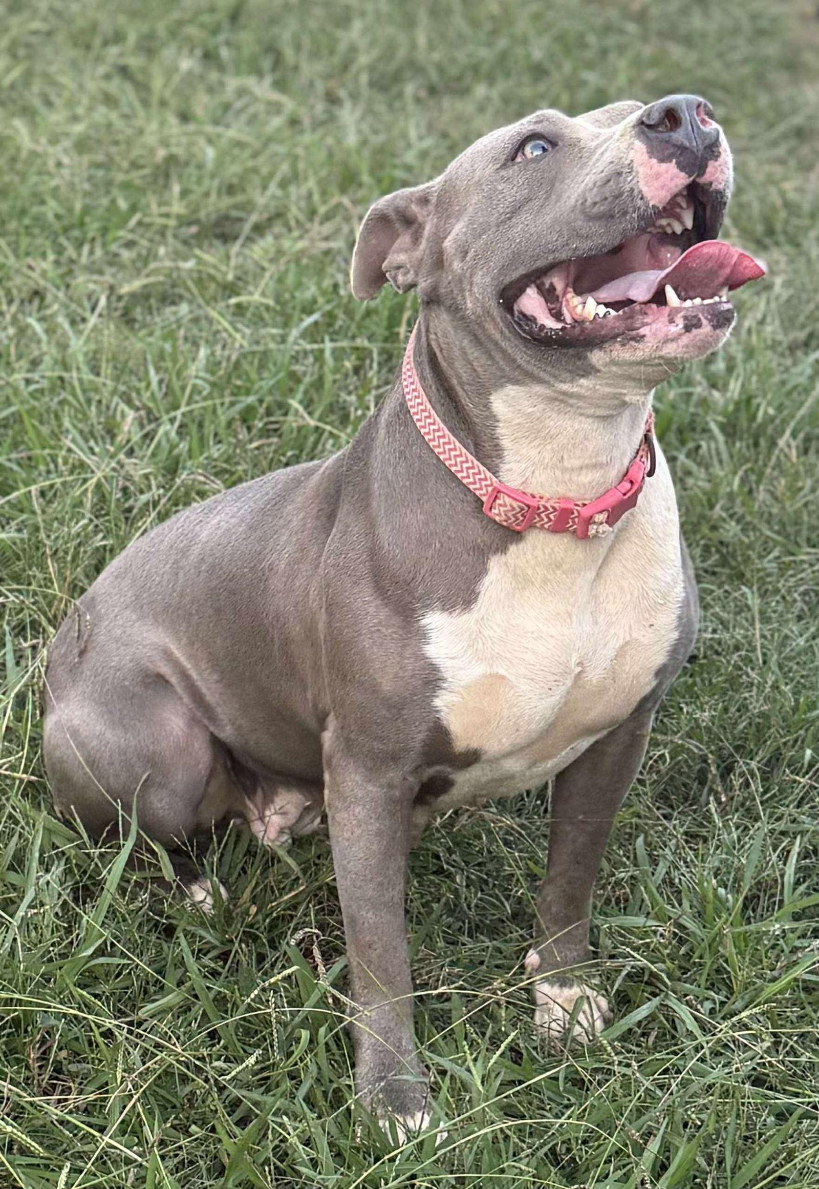 Catalina thumbnail 4