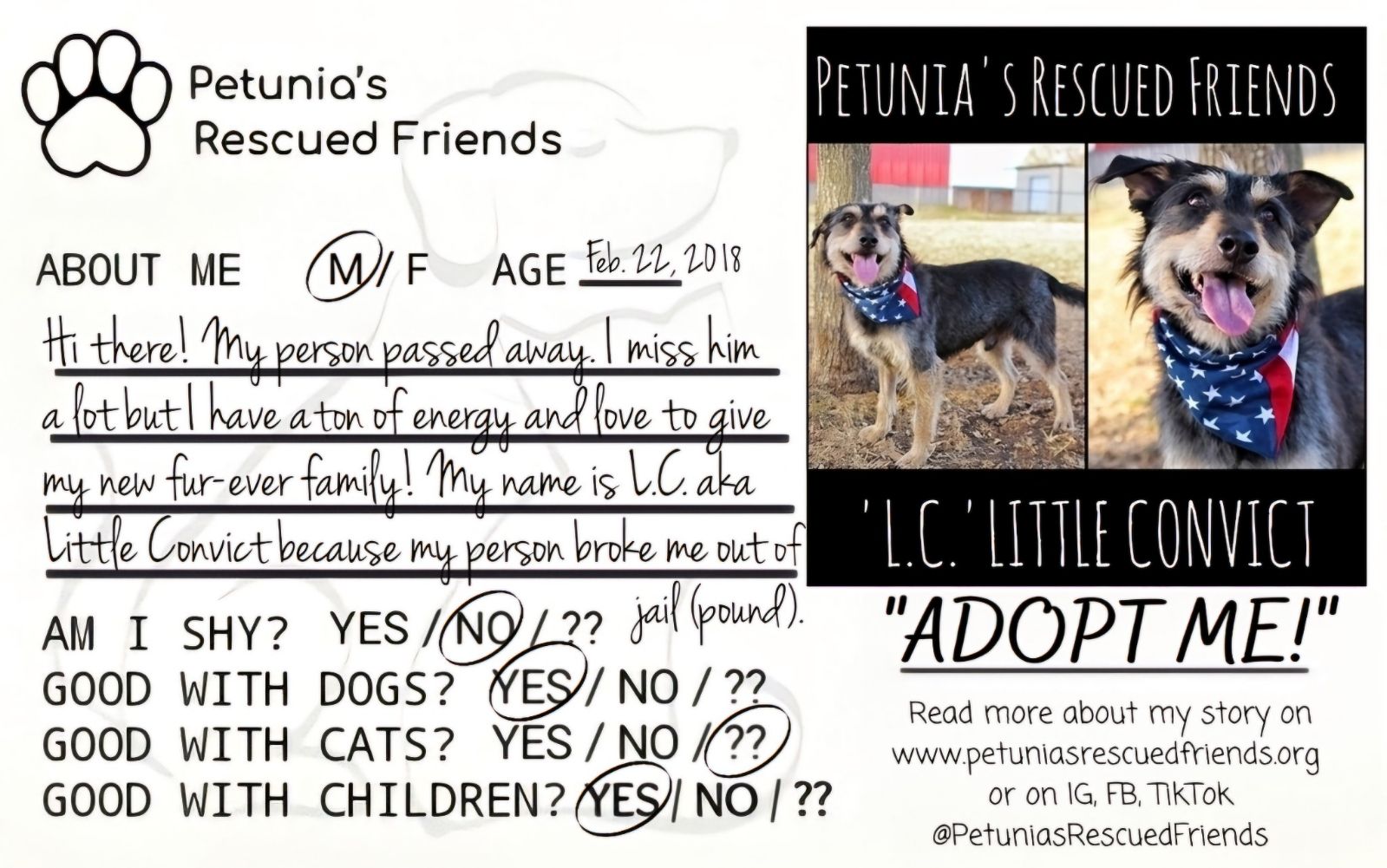 Enlarge L.C. - Little Convict, a Adoptable mixed breed in Castroville, TX image 1/2