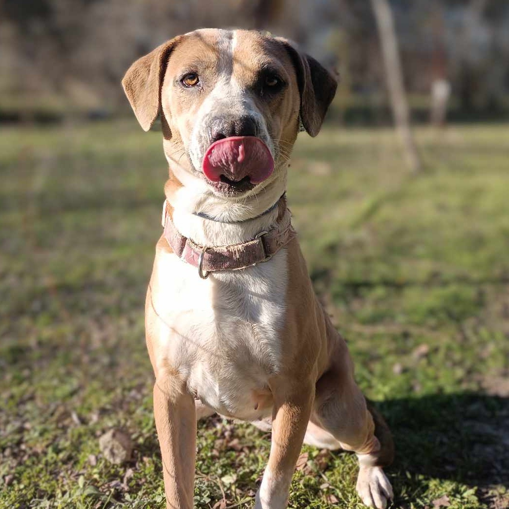 Dancer — thumbnail 3