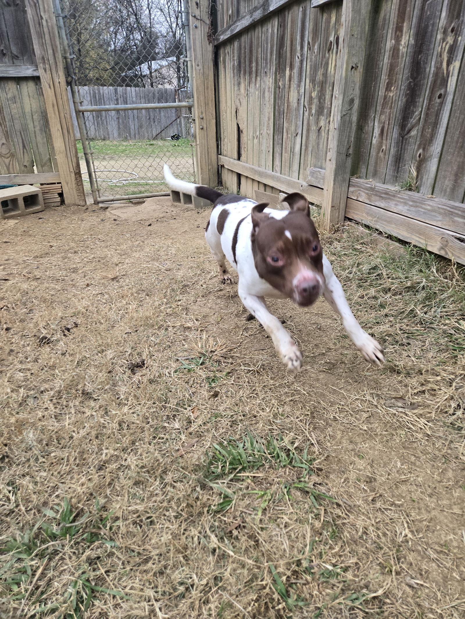 Harriett — thumbnail 2