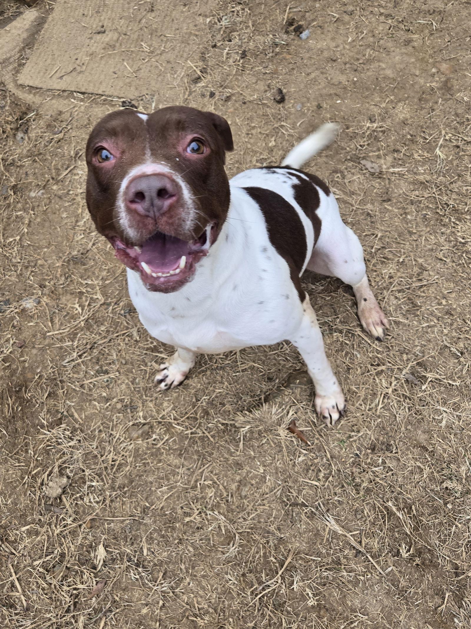 Harriett — thumbnail 3