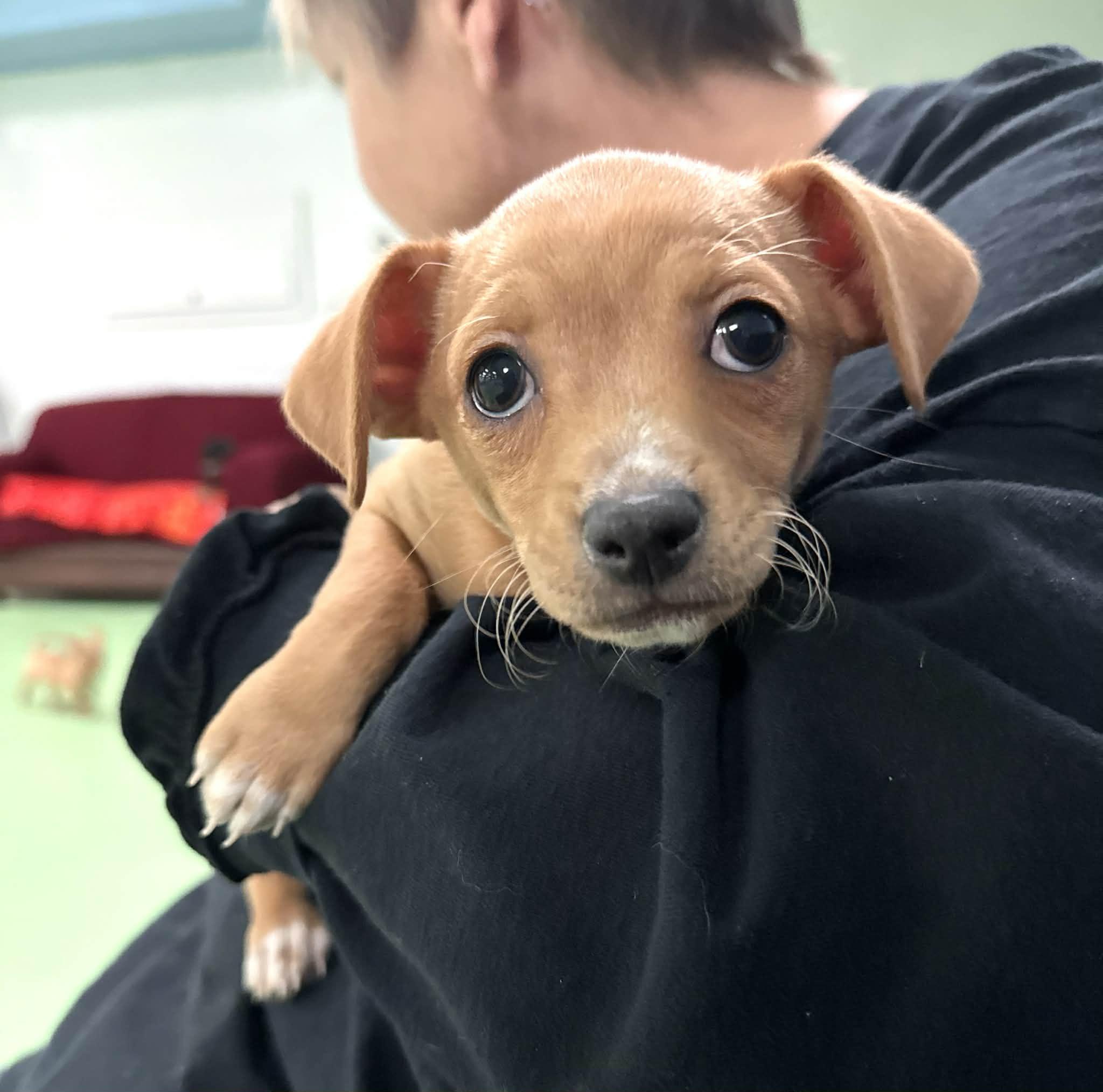 Emerald — thumbnail 2