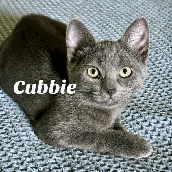 Cubbie
