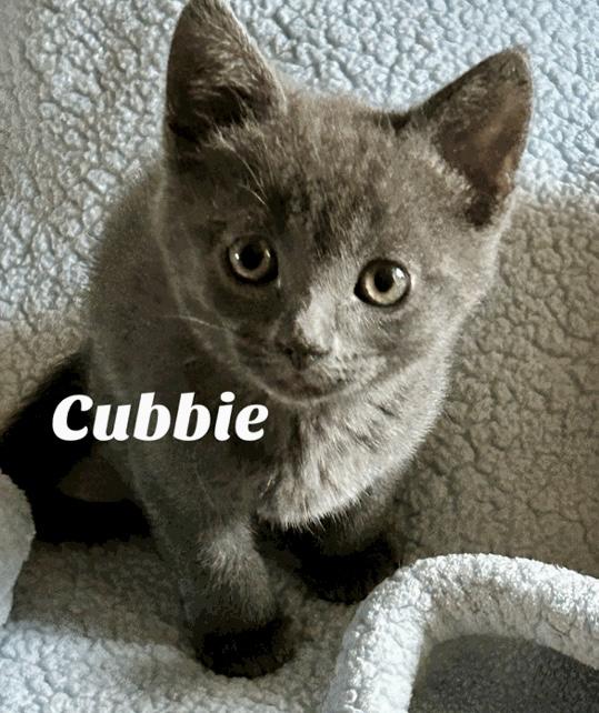 Cubbie
