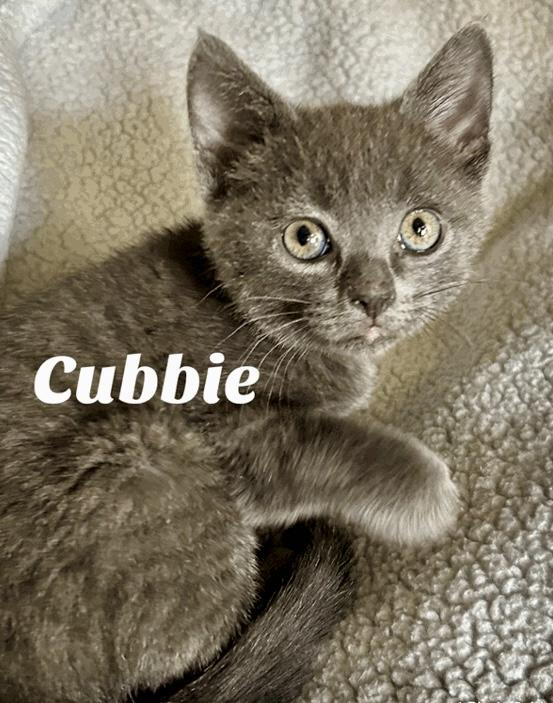 Cubbie