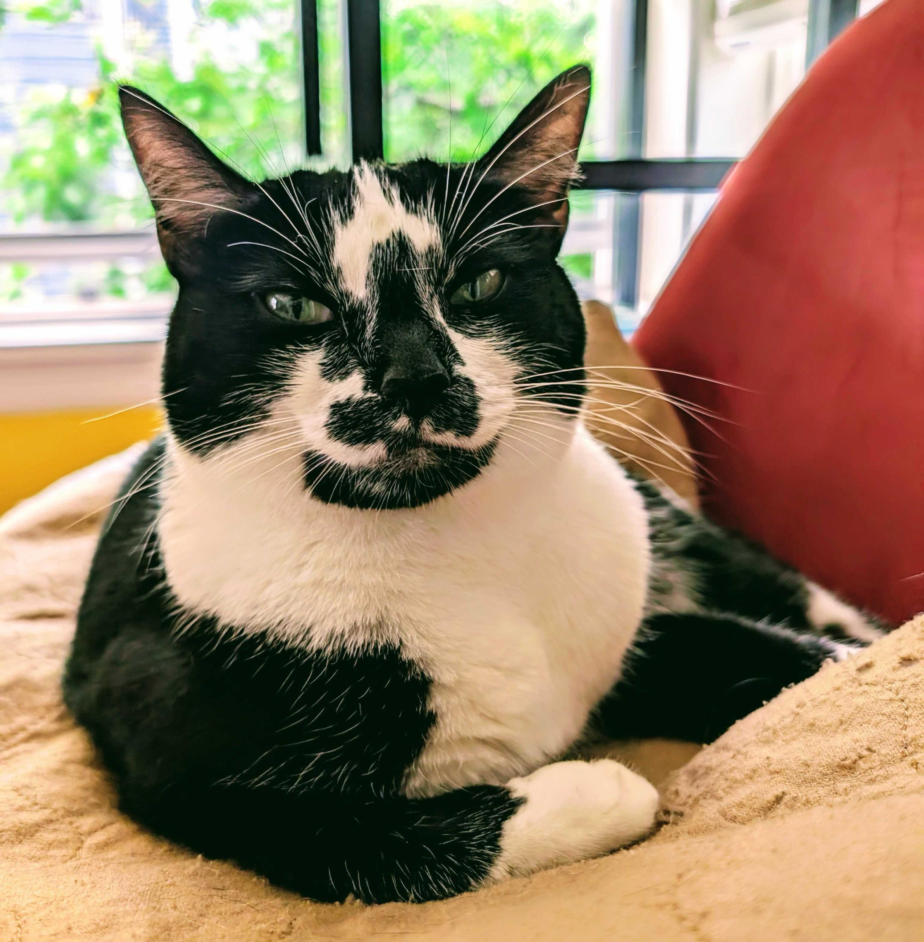 Queen Maggie photo 6