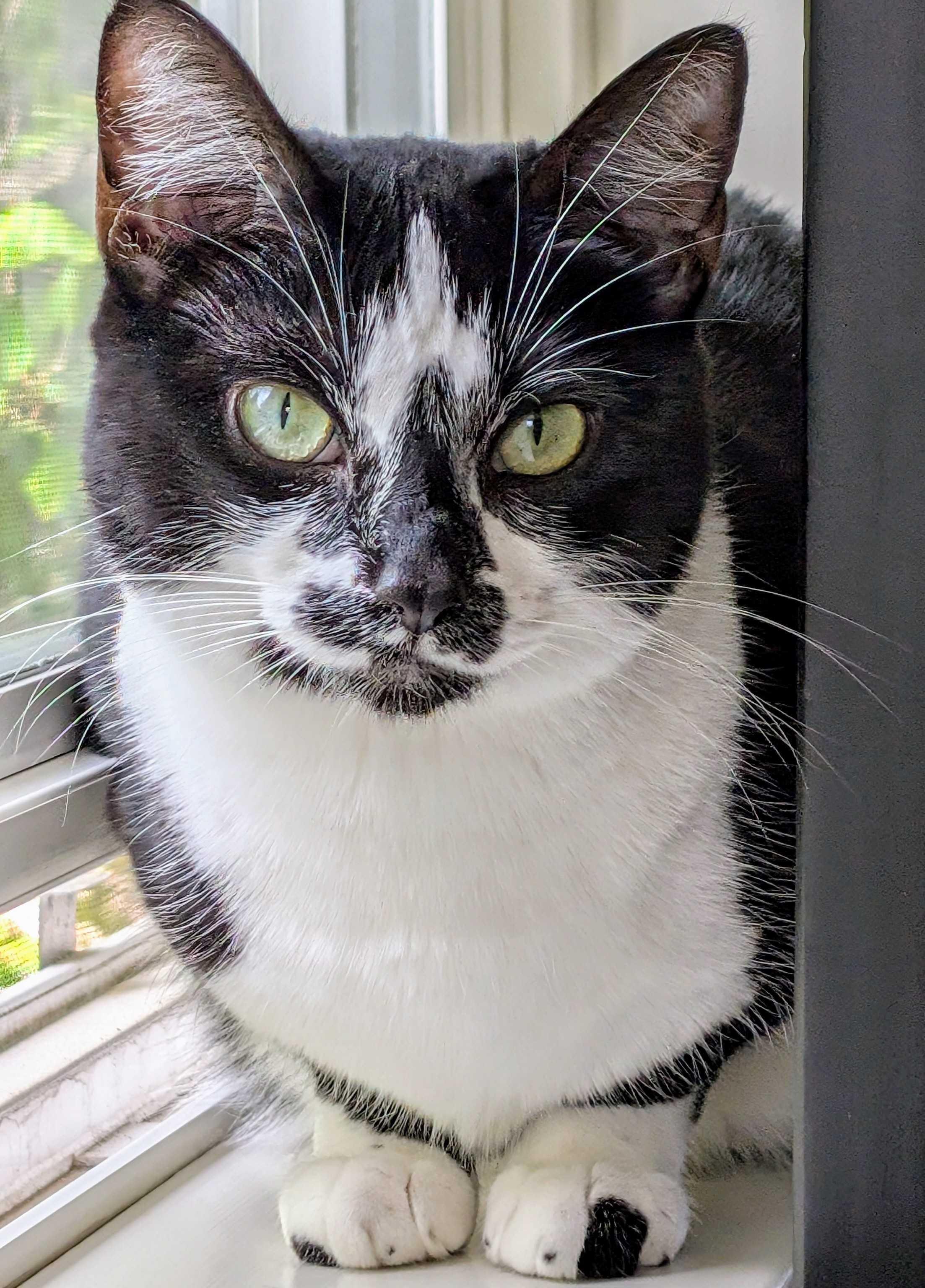 Queen Maggie