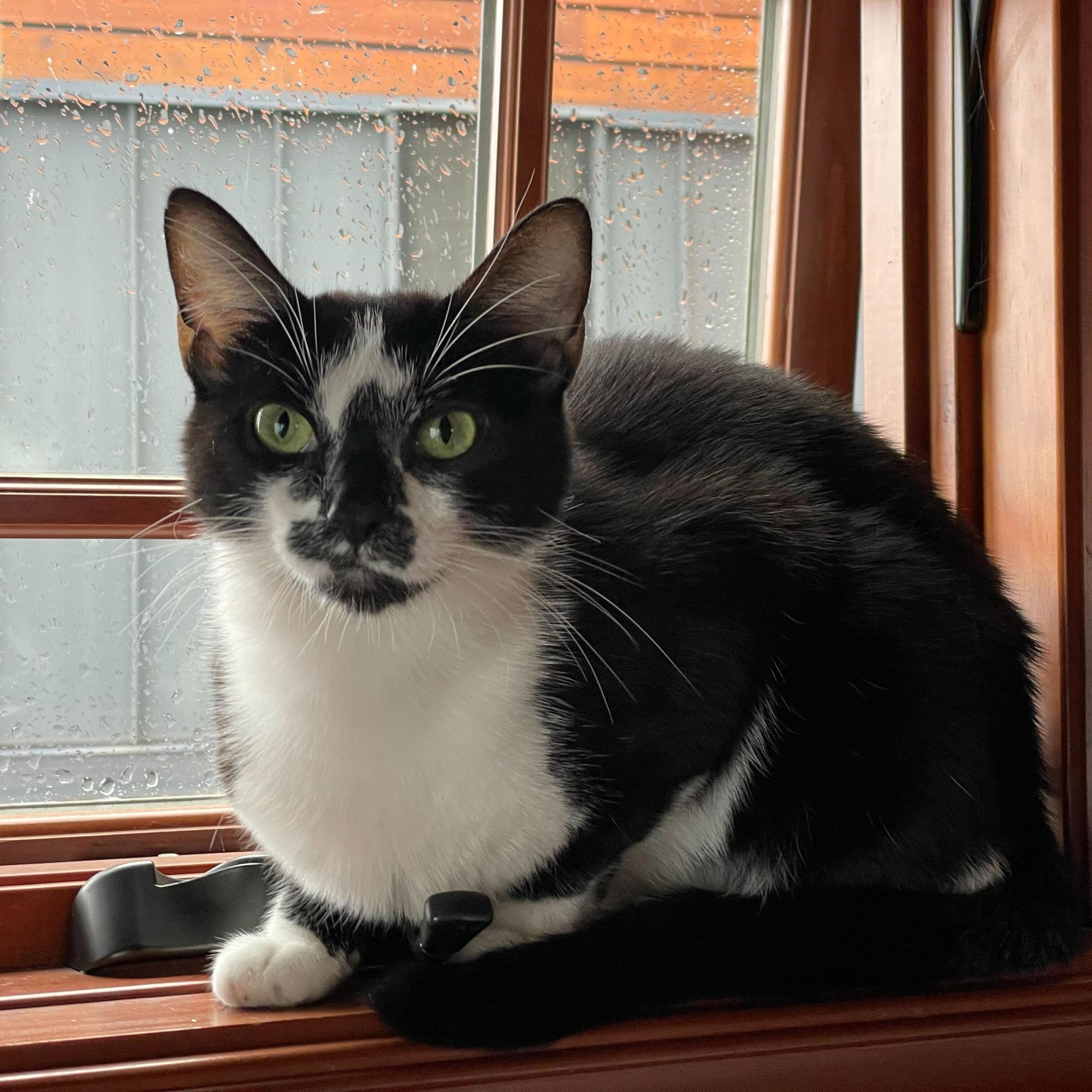 Queen Maggie photo 4