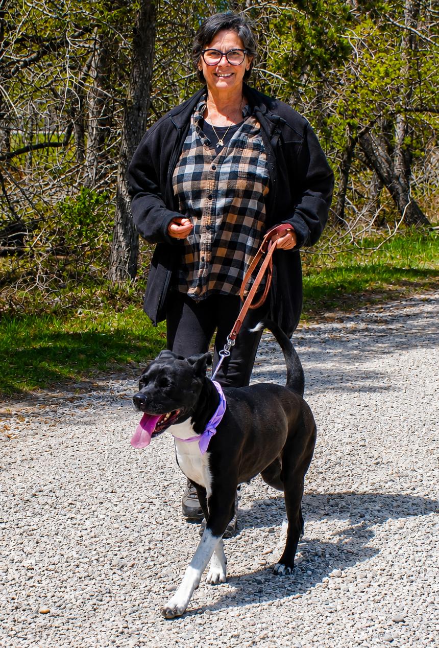 Ivy, a ADOPTABLE mixed breed in Grayling, MI image 2/6