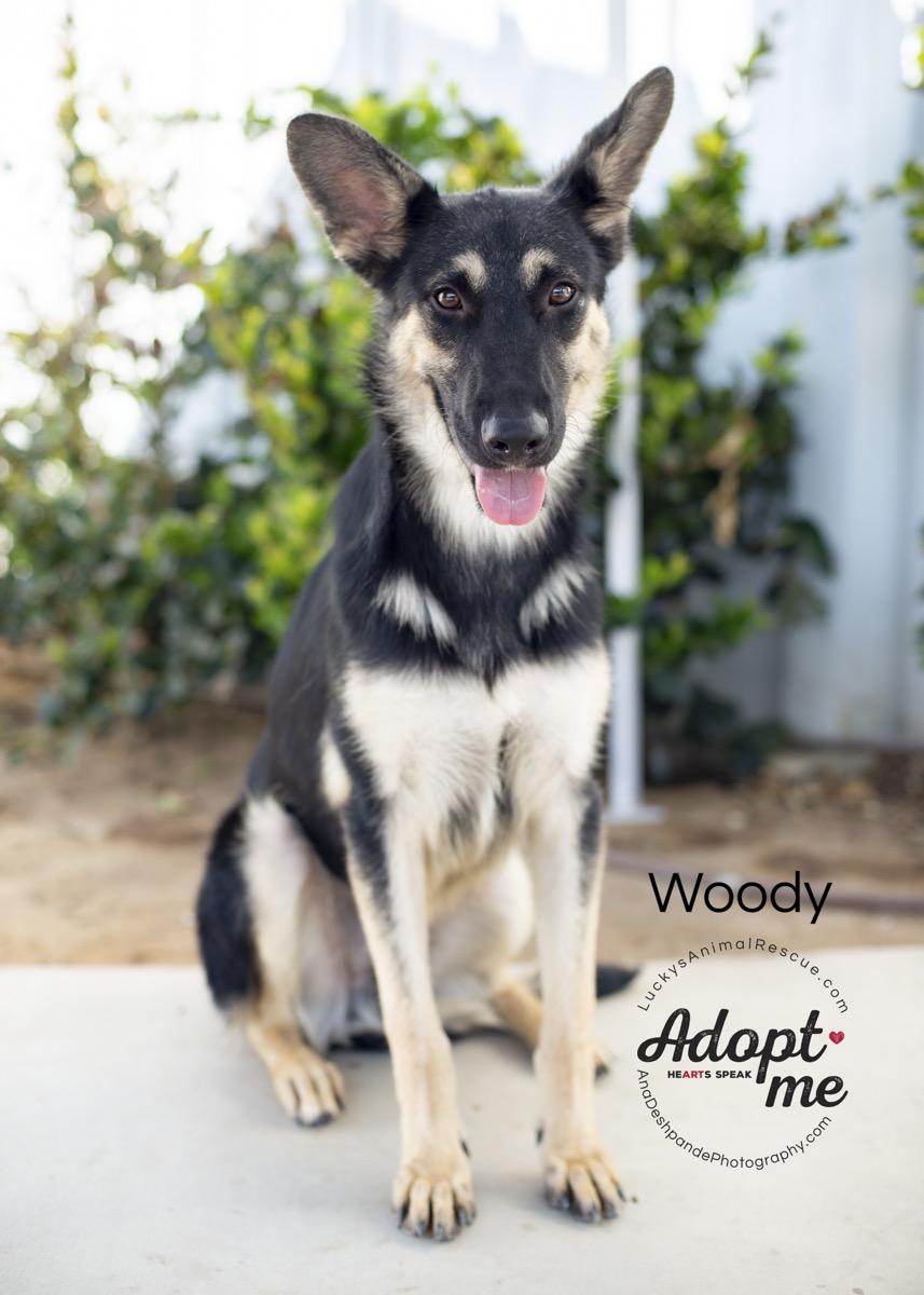 Woody