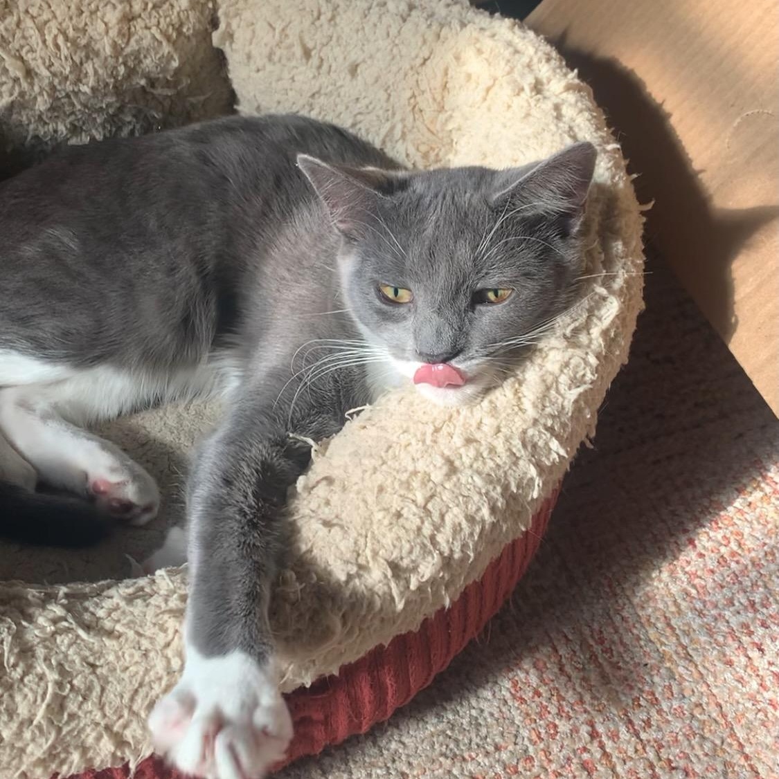 JUNE - Affection Enthusiast