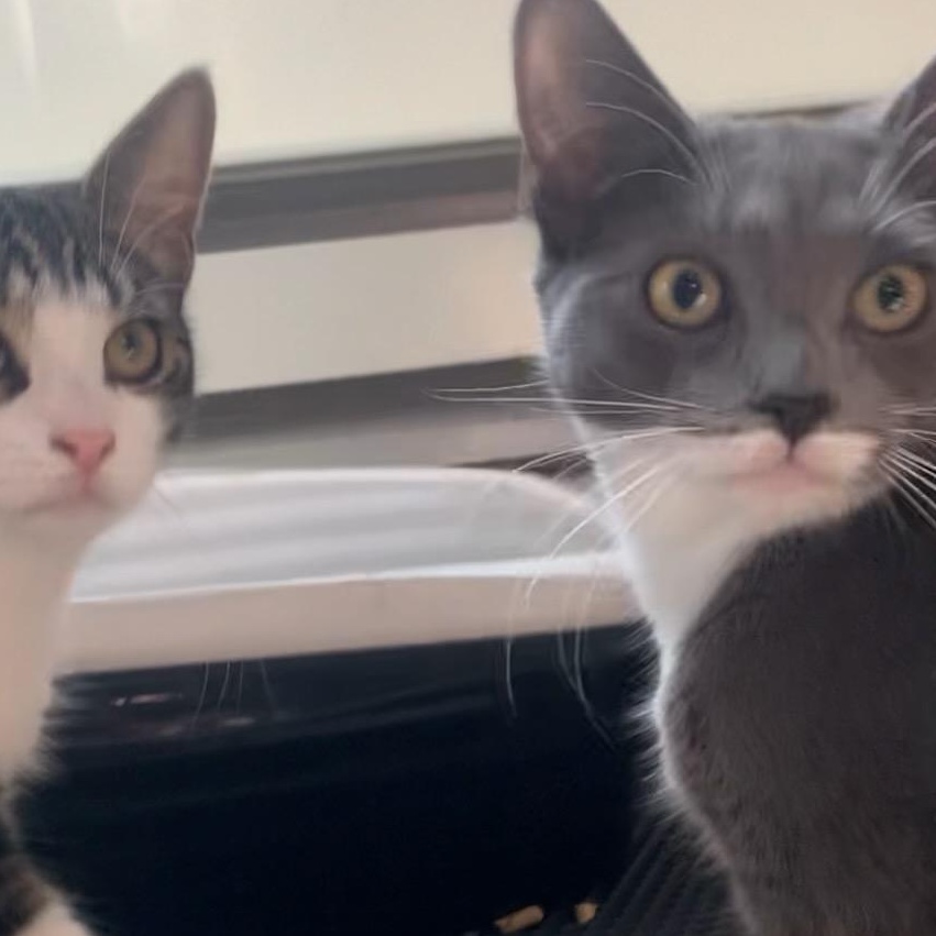 JUNE - Affection Enthusiast