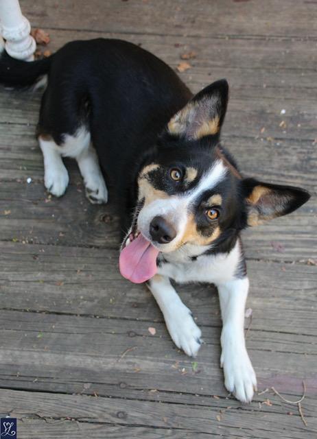 Bella photo 3