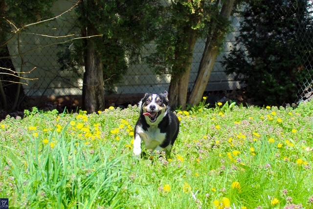 Bella photo 4