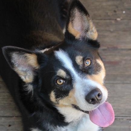 Bella photo 2