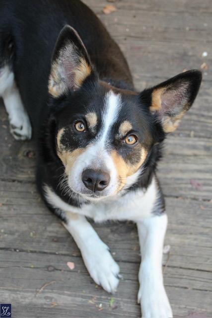 Bella photo 5
