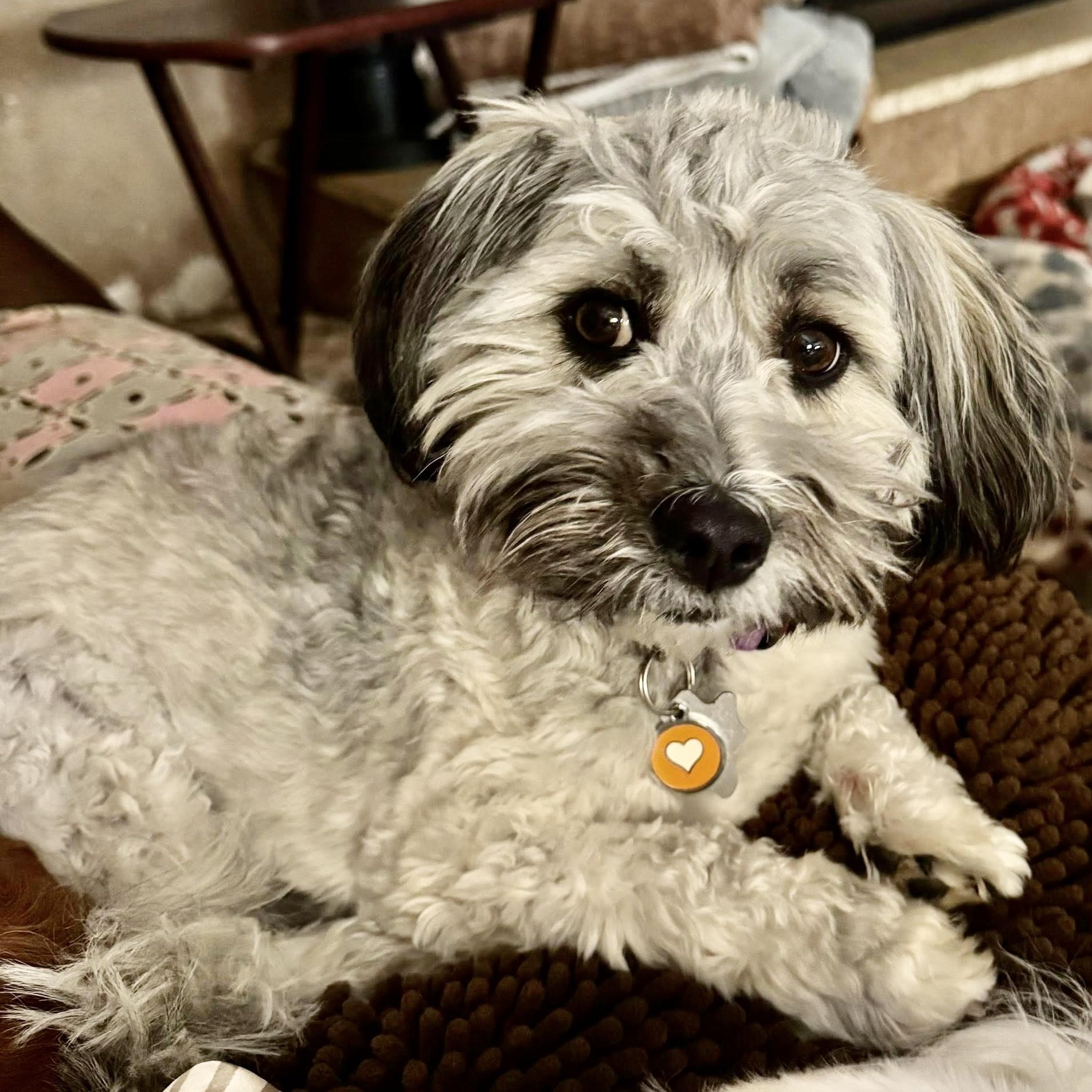 Fonzi Turner thumbnail 3