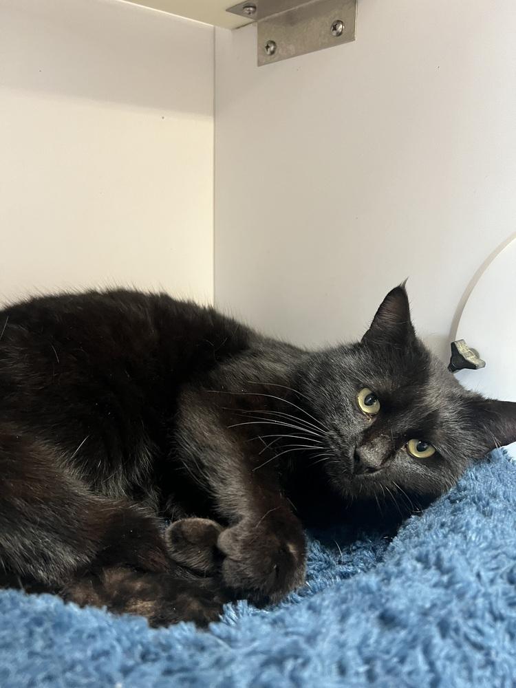 Scatter — thumbnail 2