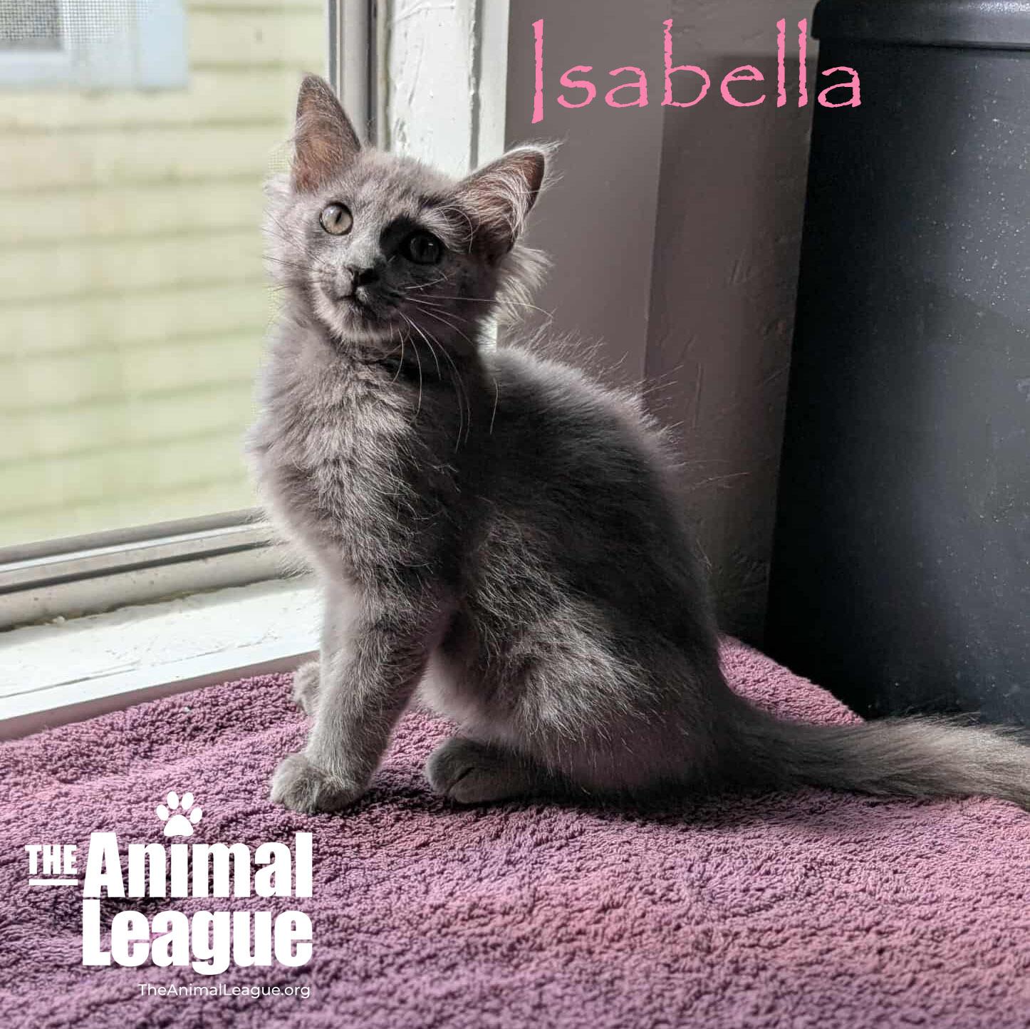 Isabella