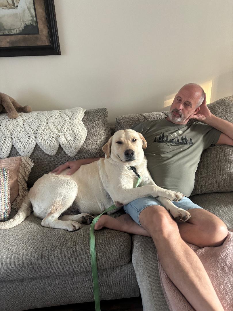 Enlarge Brooke AKA Brookie, an adopted Labrador Retriever in Warrington, PA image 3/5