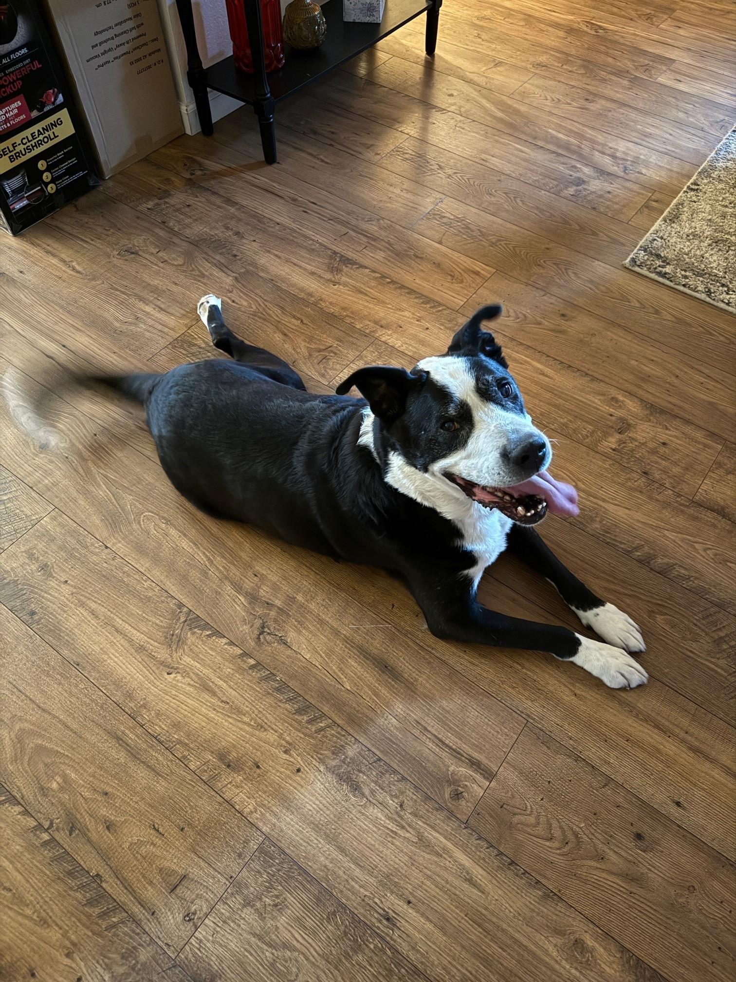 Oreo